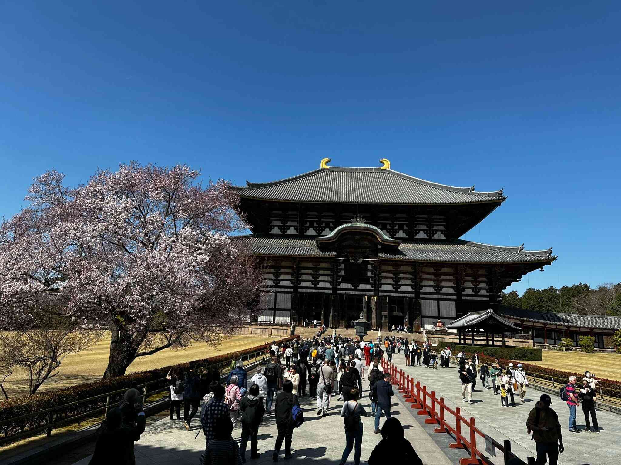 Japonia - Nara